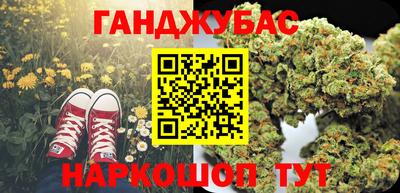 гашик Камышлов